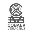 Ikon program: Cobaev