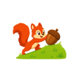 프로그램 아이콘: Squirrels Fruit Hunt