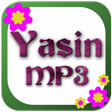 ไอคอนของโปรแกรม: Yasin MP3