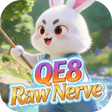 Ícone do programa: QE8 Raw Nerve