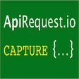 أيقونة البرنامج: ApiRequest.io Ajax Captur…