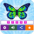 程序图标：Learn Spelling - 100 lang…