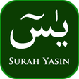 Icon of program: Yasin - English Translati…