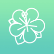 Icon of program: มะลซอน