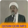 程序图标：Qosimxon qori