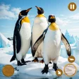 Ícone do programa: Arctic Penguin Life Simul…