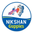 프로그램 아이콘: Nikshan Guppies
