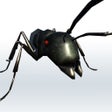 أيقونة البرنامج: Ant Garden