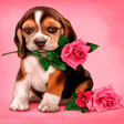 程序图标：Puppy Rose Live Wallpaper