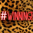 ไอคอนของโปรแกรม: Win-ning