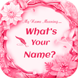 プログラムのアイコン：What is in your Name - Wh…