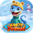 Programikonen: KA678Primal