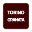 プログラムのアイコン：Torino Granata