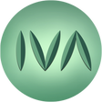 Иконка программы: IVA VCS