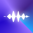 程序图标：VoiceLog
