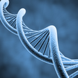 プログラムのアイコン：Molecular Genetics