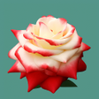 Programın simgesi: Flower Wallpaper-7
