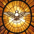 程序图标：Kalendarz Liturgiczny