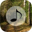 أيقونة البرنامج: Forest Sounds - Forest Mu…