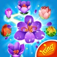 Иконка программы: Blossom Blast Saga