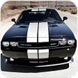 Icon of program: City Car Driving: Muscle …