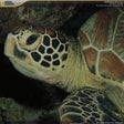 Ikona programu: National Geographic Under…