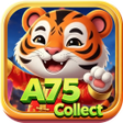 Programikonen: A75 Collect