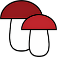 プログラムのアイコン：Mushroom identification f…