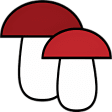 Mushroom identification from p