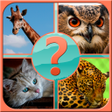 Icon of program: Guess the Animal