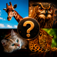 程序图标：Guess the Animal