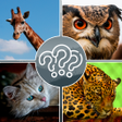 Ikona programu: Guess the Animal