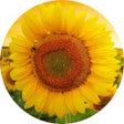 プログラムのアイコン：Sunflowers Wallpaper