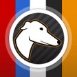 プログラムのアイコン：Greyhound Bet