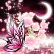 程序图标：蝶夜曲-桜- for[+]HOMEきせかえテーマ