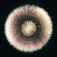 プログラムのアイコン：Particle Box