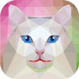 ไอคอนของโปรแกรม: Low-Poly Art color by num…