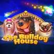 程序图标：The Bulldog House