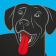 プログラムのアイコン：BringFido Pet Friendly Ho…