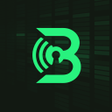 ไอคอนของโปรแกรม: BorealVPN