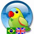 Icon of program: Vicon Portuguese English …