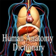 Human Anatomy Dictionary Definitions Terms Offline