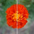 Ikona programu: Video quality enhancer-ed…