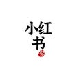 Ikon program: 小红书文案复制神器