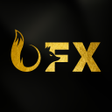 程序图标：OFX Exchange