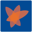 Ikon program: Brights - Trading system