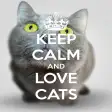 Keep Calm Love Cats Wallpapers