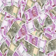 プログラムのアイコン：Cash Telly INR