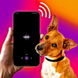 プログラムのアイコン：Cat Translator-Dog Transl…