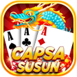 プログラムのアイコン：Capsa Susun